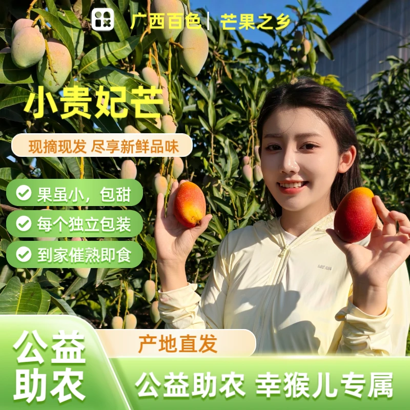 【幸猴儿公益助农专属】广西小贵妃芒 催熟放软再吃/4.5-5斤