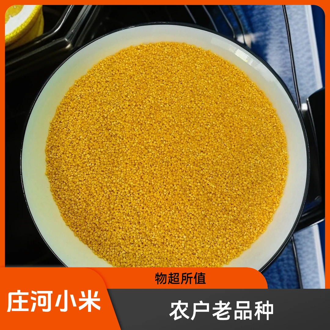 庄河塔岭农户老品种小米  25年新米  2.5斤