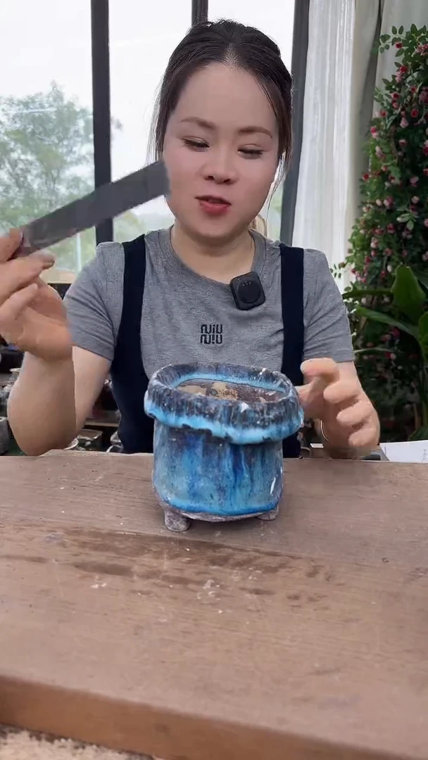 1个开福利不指定/瑕15