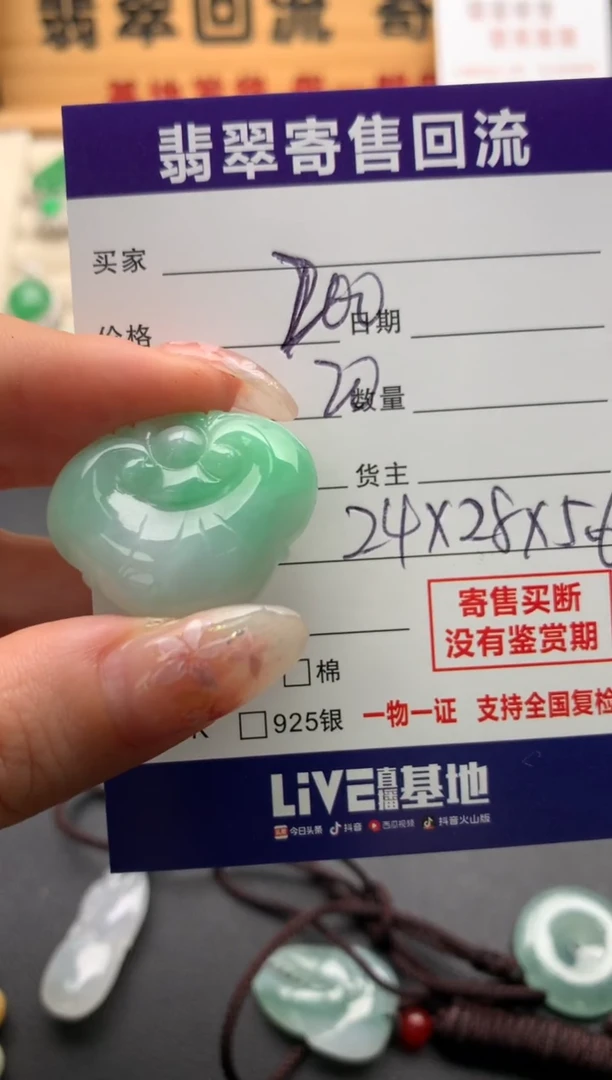翡翠未镶嵌颈饰10135200