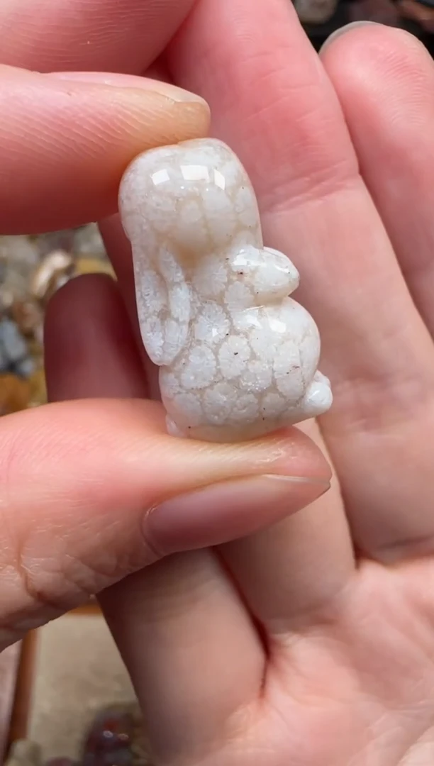 颈饰未镶嵌硅化珊瑚（珊瑚玉）336