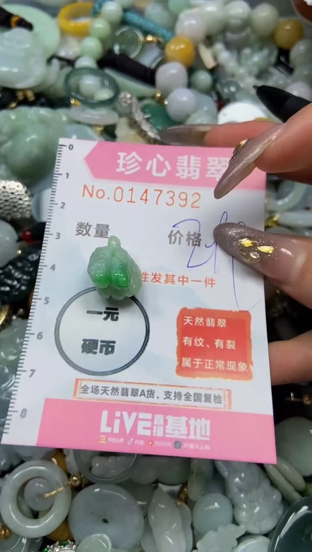 【闪购商品】翡翠颈饰未镶嵌闪购0147392