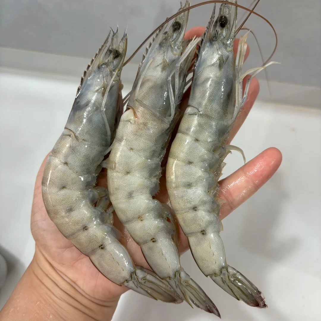 【顺丰快递】海洋大虾大号3斤丹东东港海虾盐冻32-34个/斤肉质鲜美