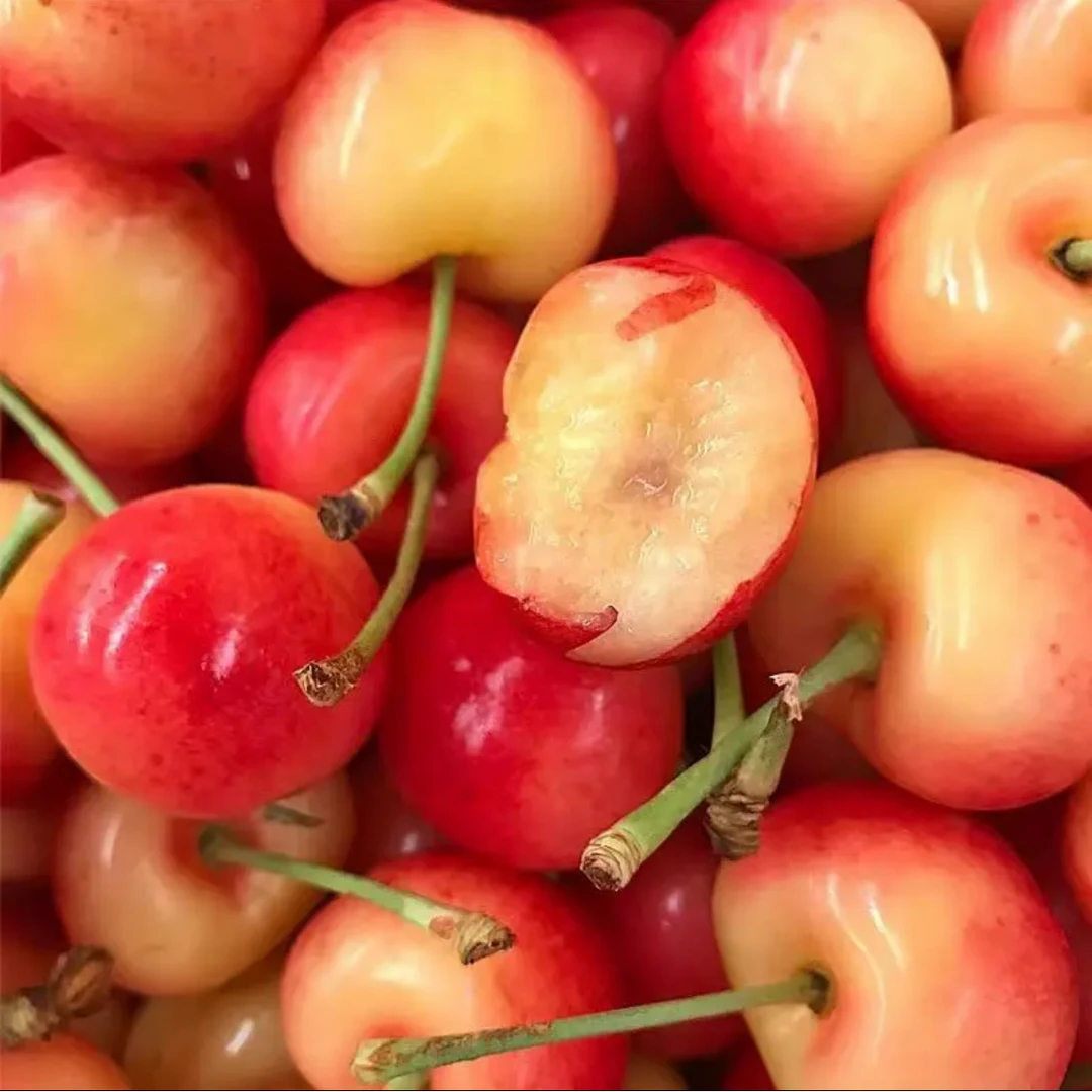 金车雷尼尔车厘子  小蜜蜂 当季新鲜水果2J2200g