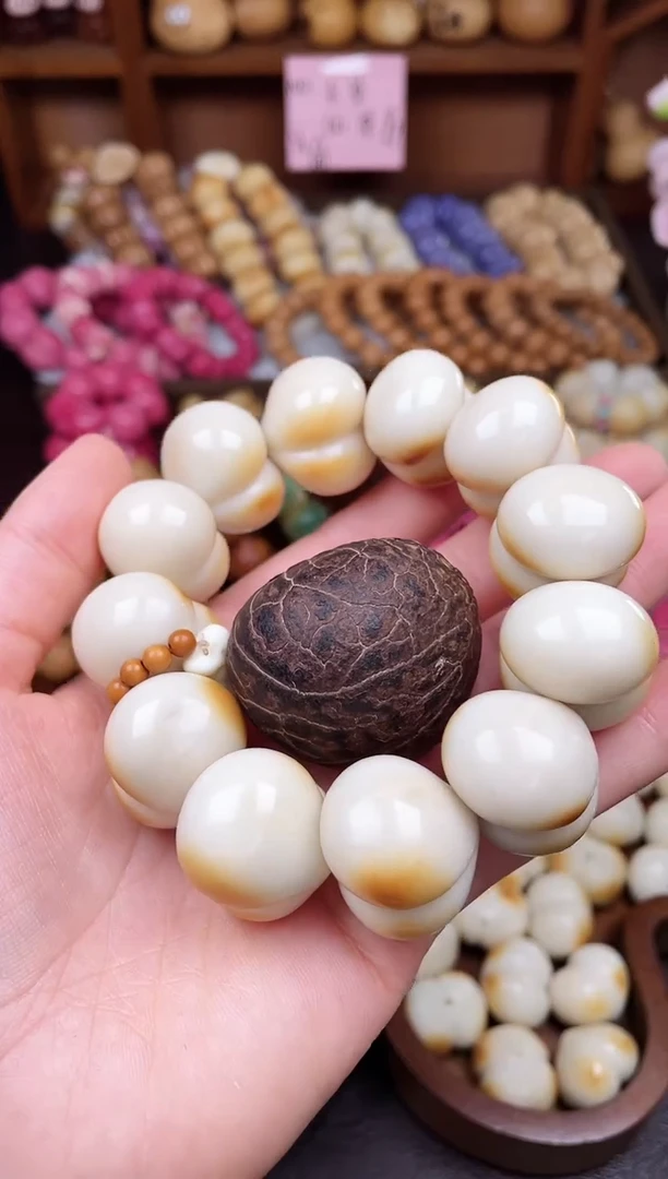手串菩提根/象牙果T11