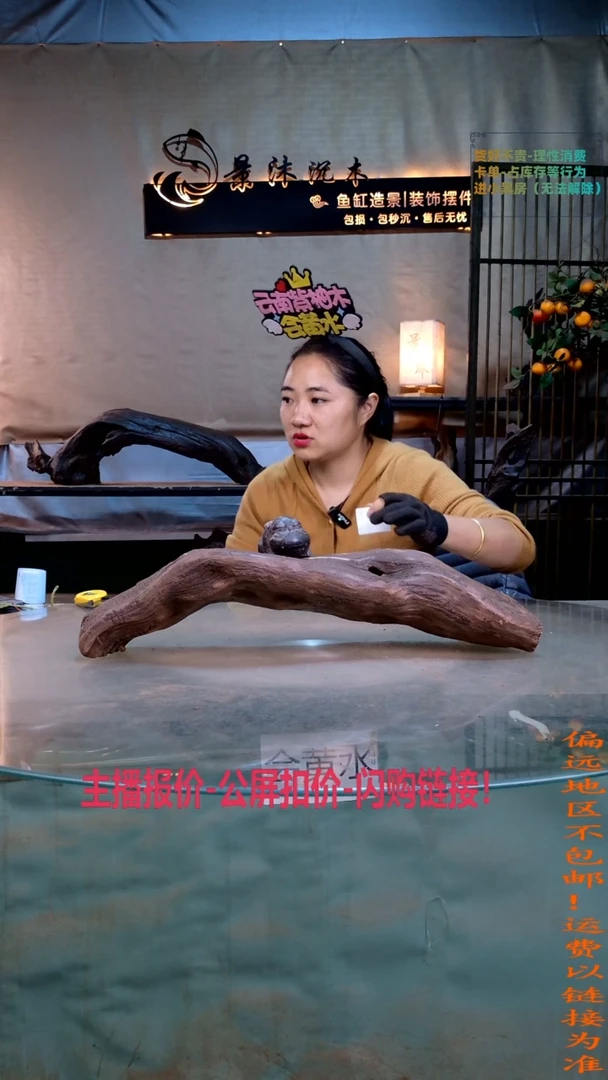 鱼****趣景沐沉木A848 52-12-14