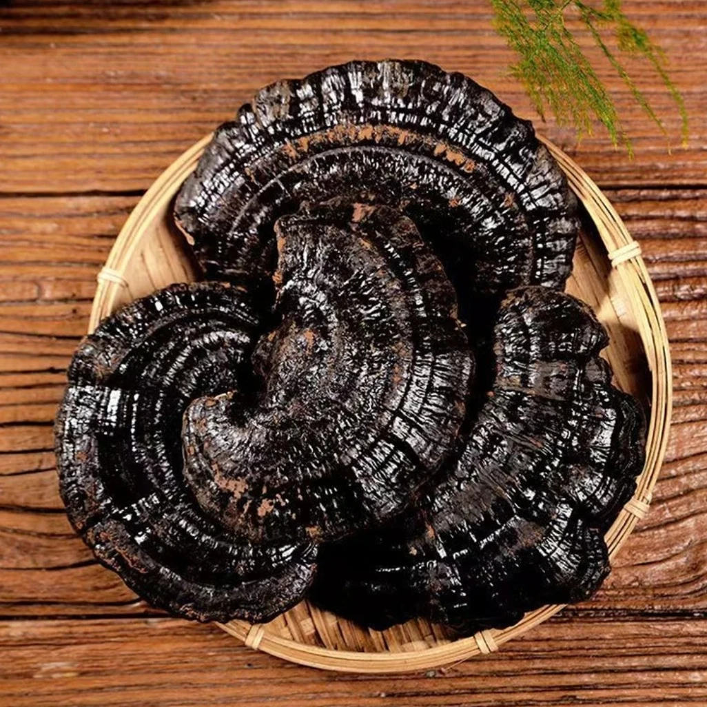 福利！优选特产【黑林芝】500g    晓宇专属