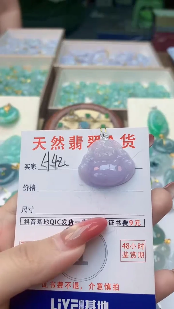 颈饰未镶嵌翡翠天然A货翡翠挂件