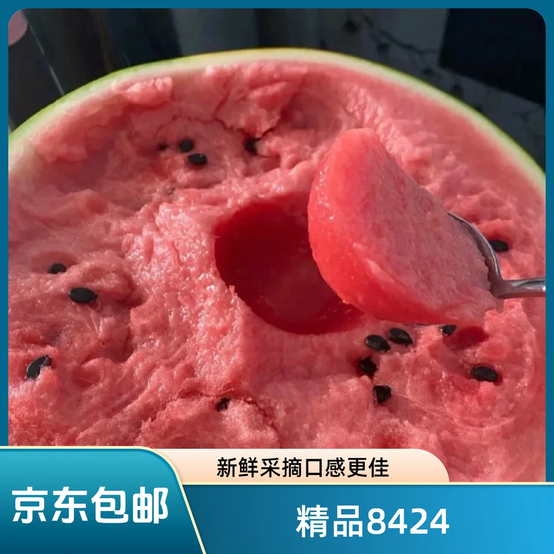 【单果】精品头茬8424西瓜新鲜采摘618福利