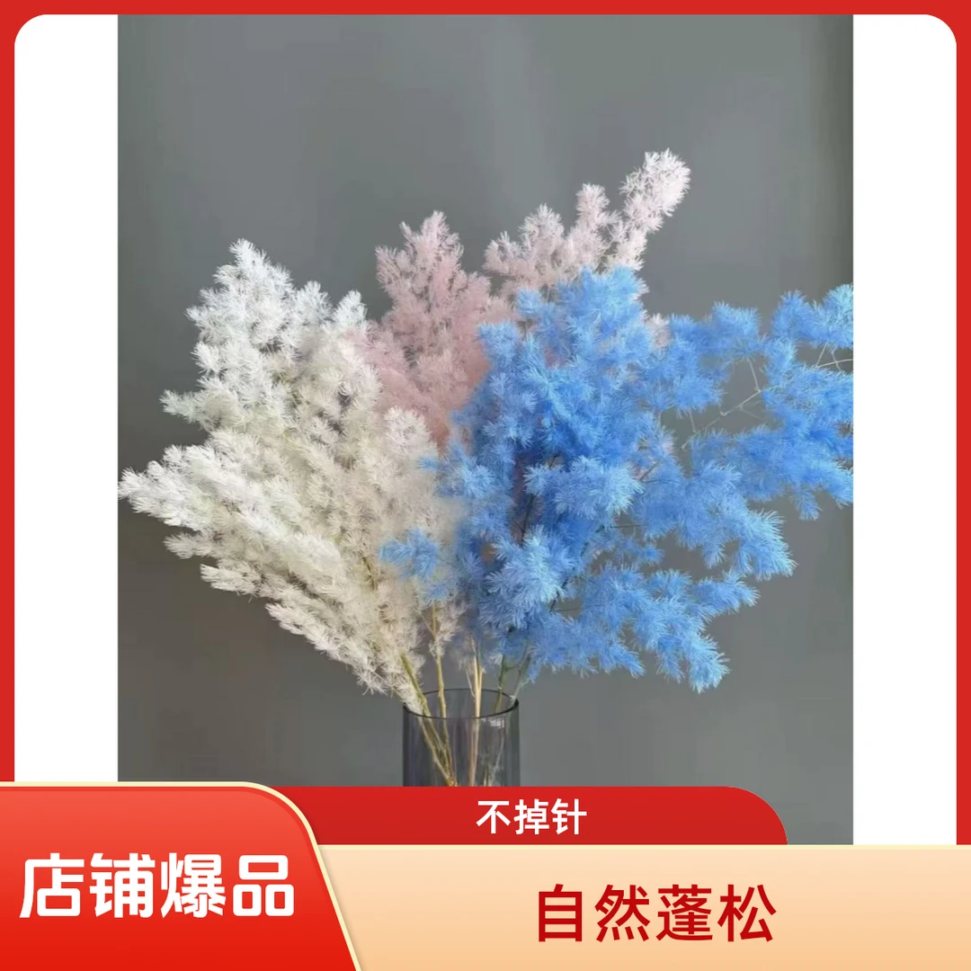 工厂直销永生蓬莱松（不掉针）花材装饰DIY花束