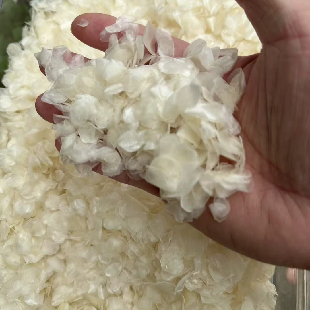 潮滋源鱼胶-马来蜘蛛鱼鳞-1-500克