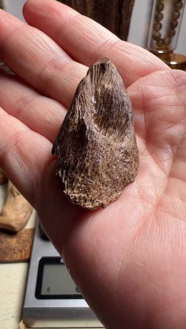 沉香沉香碎屑马泥涝沉水料2.6克