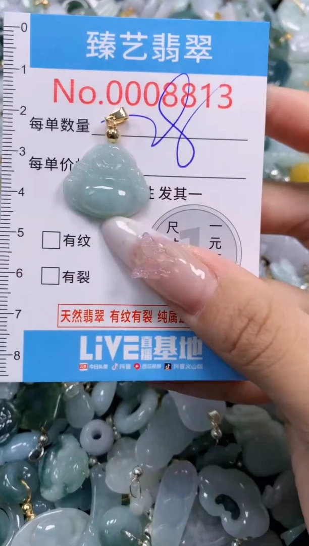 翡翠未镶嵌颈饰8813