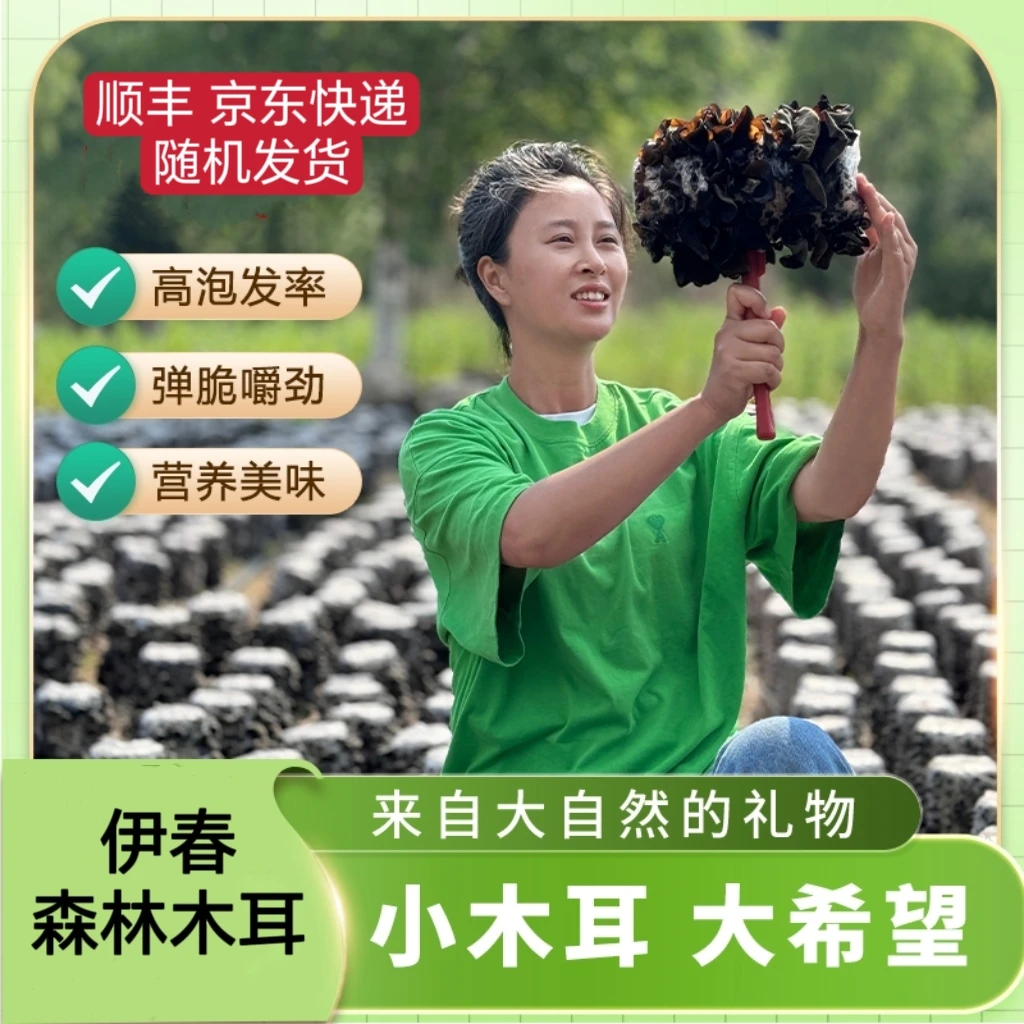 王北四甄选 伊春木耳原本自然东北特产头茬木耳250g/包肉厚有嚼头