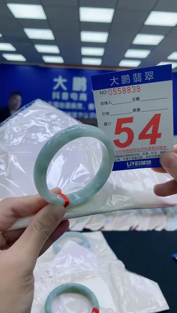 未镶嵌手镯翡翠AAAAAAAAA