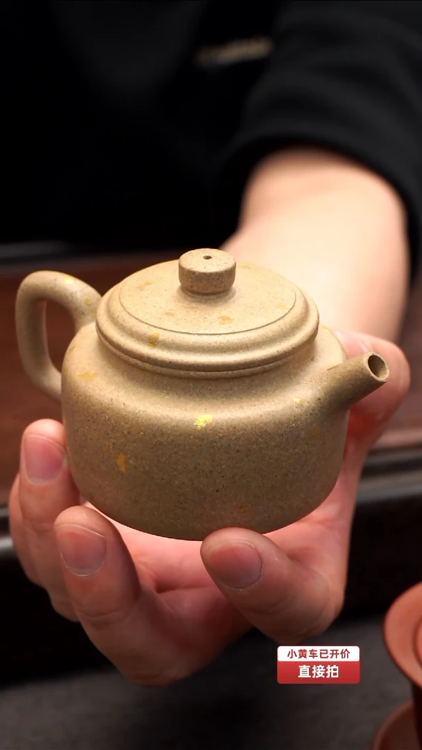 【闪购商品】原矿青灰段 德钟壶 半手工 100cc