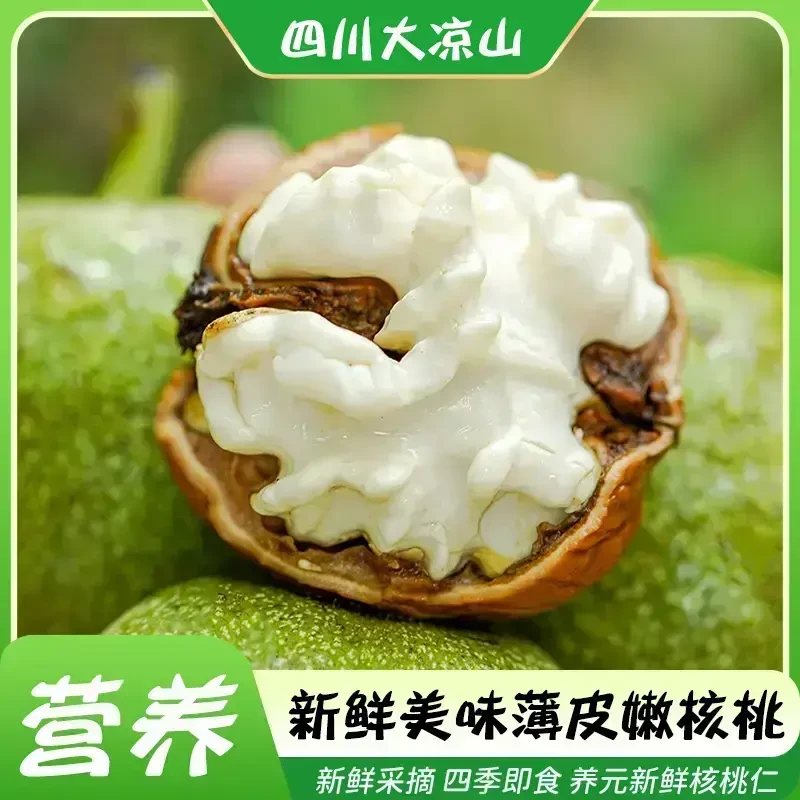 青皮鲜核桃现摘现发鲜湿核桃去青皮生核桃新鲜薄皮嫩核桃孕妇专用