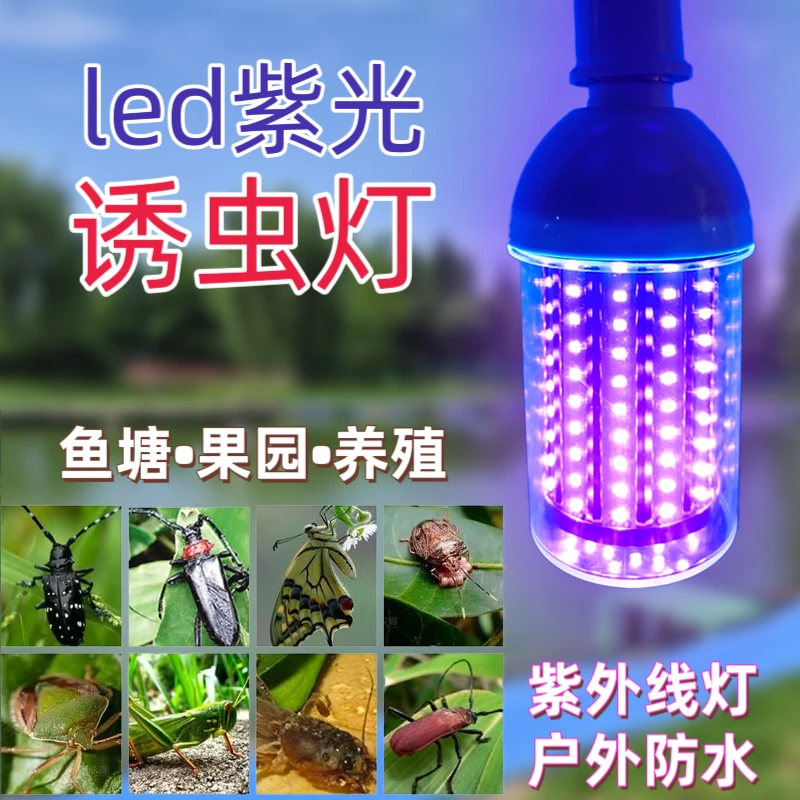 led诱虫灯户外防水鱼塘养鸡果园蝼蛄金龟子蝎子220V紫光灯泡12v