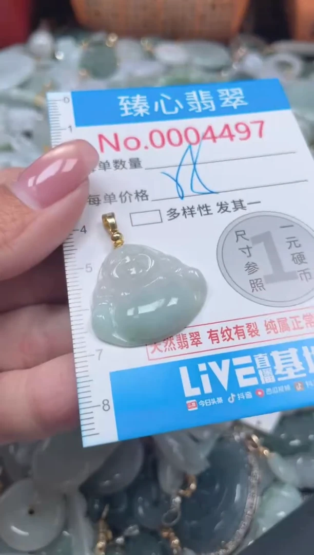 颈饰未镶嵌翡翠4497