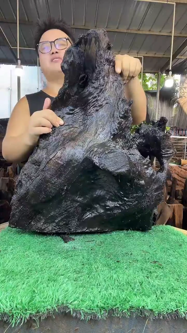 金丝楠小叶桢楠184