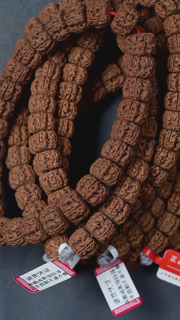 手串金刚菩提S01盘龙单圈