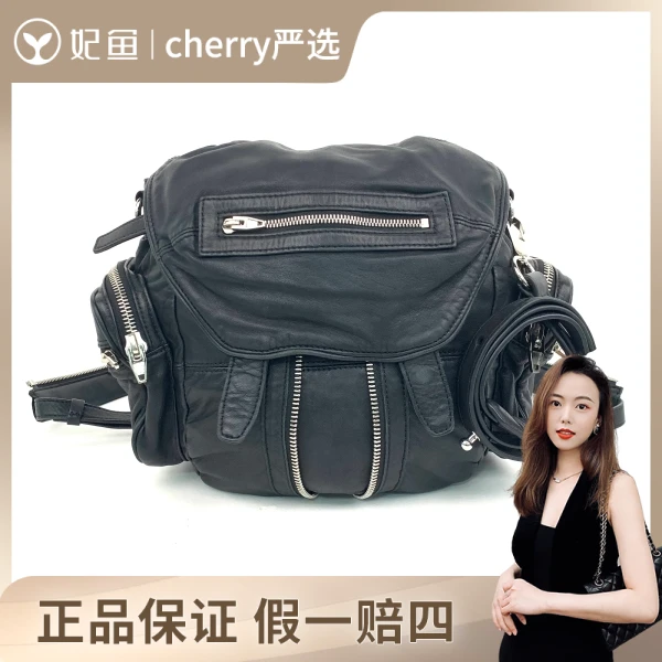 亚历山大王/包包/95新/市场价6800/17*11*28