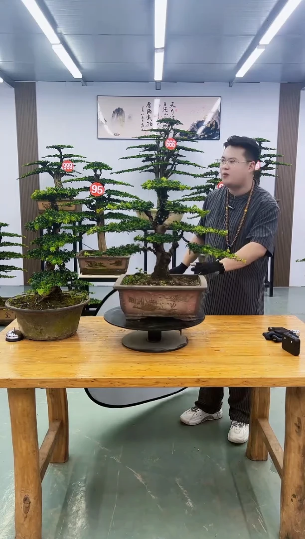 无花朵扎*0000000000