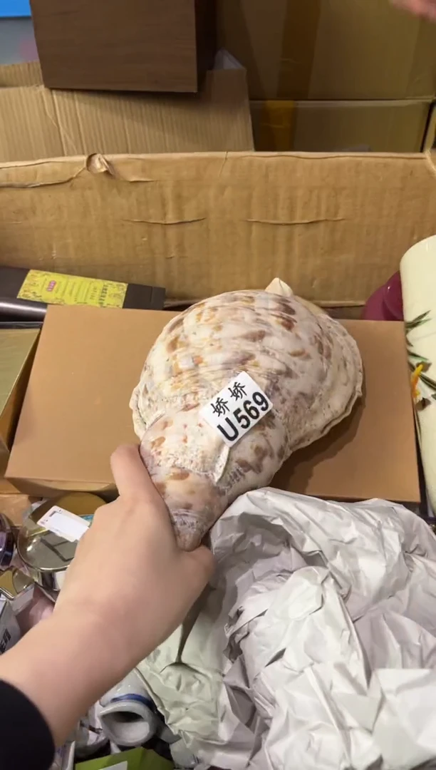 瓷片明**风569定向 明月清风