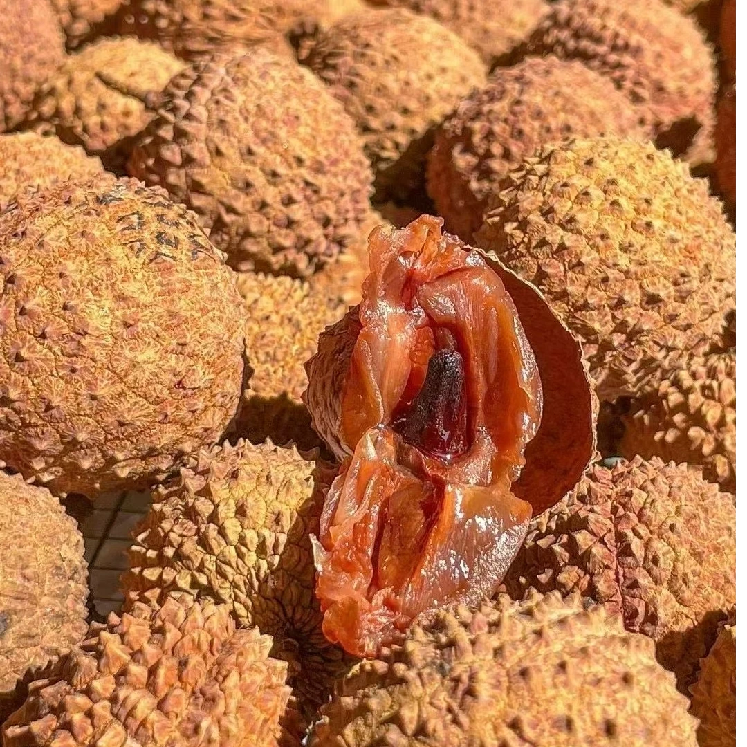 高州特产桂味荔枝干核小肉厚新新货即食荔枝小核壳薄肉厚软糯香甜