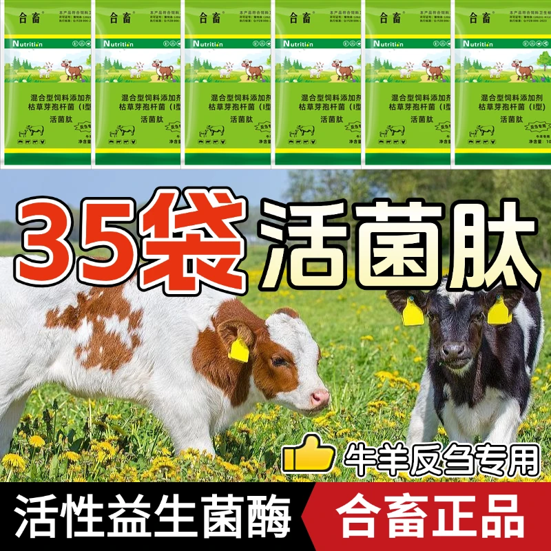 （35袋活菌肽）牛羊促反刍提高吸收减少过料拌料兽用健胃益生菌酶