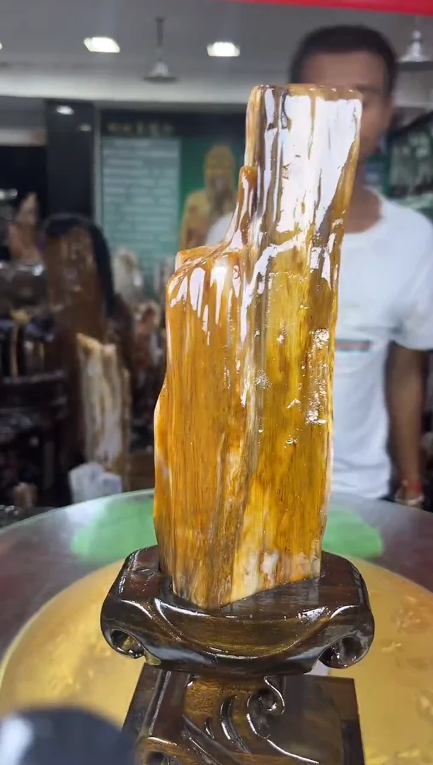 硅化玉珠宝奇石未镶嵌缅甸天然树化玉摆件