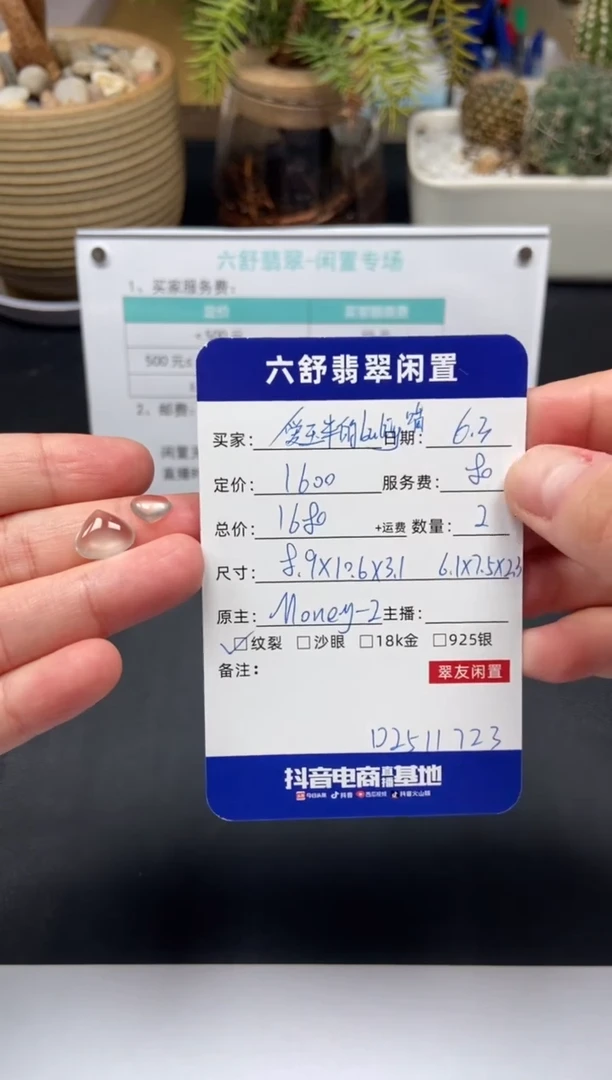 翡翠未镶嵌颈饰D2511723