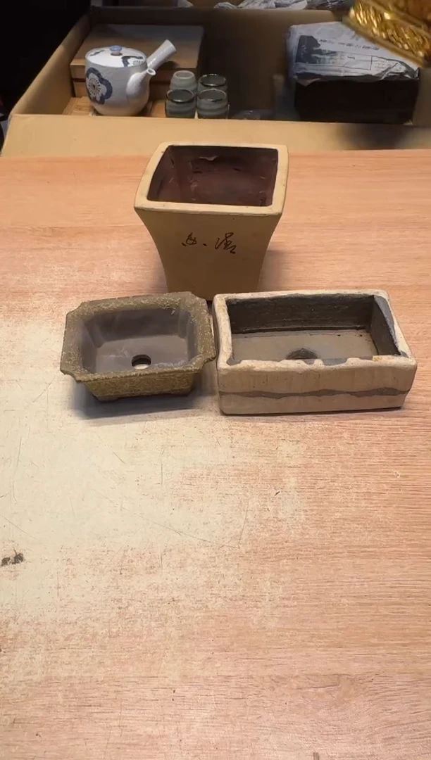 【闪购商品】老板谨慎参拍，感谢支持哈哈哈哈