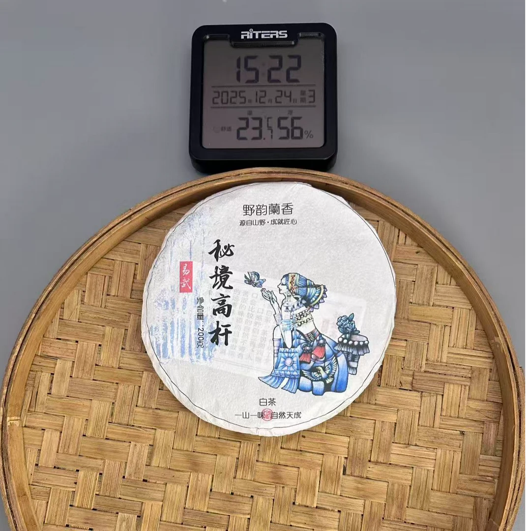 2023年易武秘境高杆白茶