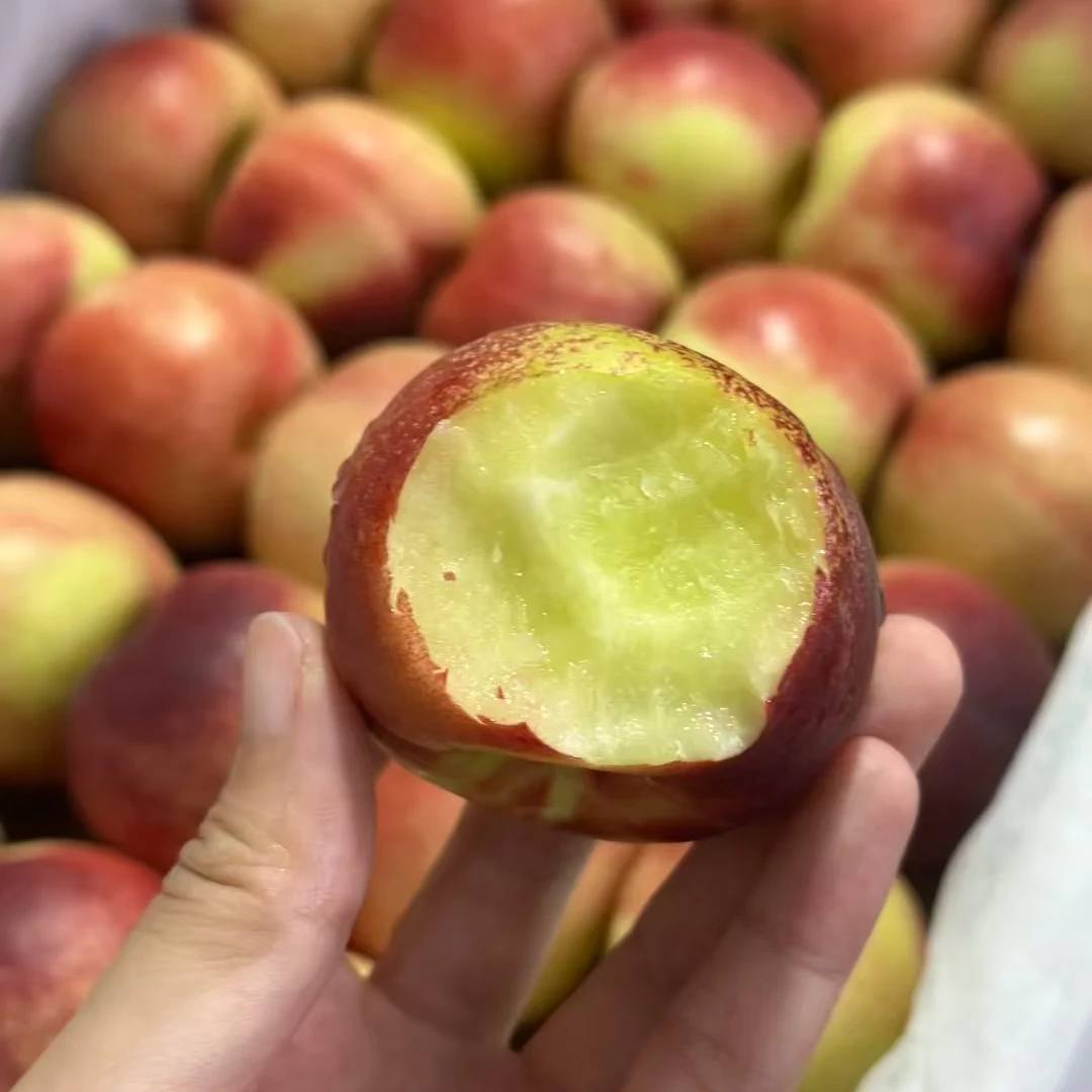 【瑕疵】3斤左右珍珠枣油桃（有干疤 有个别比较软）山西省