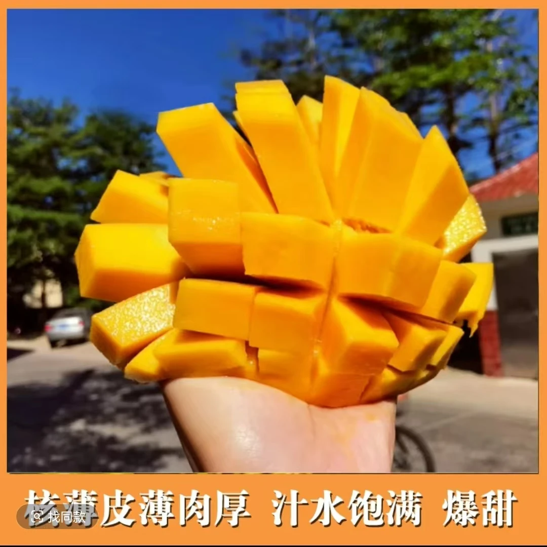 【海南直发】海南红玉文芒大脸芒新鲜应季水果现采现摘现发