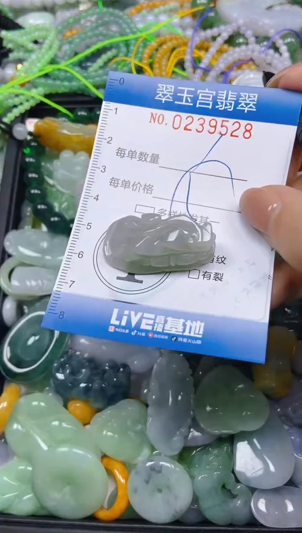 颈饰未镶嵌翡翠闪购C0239528