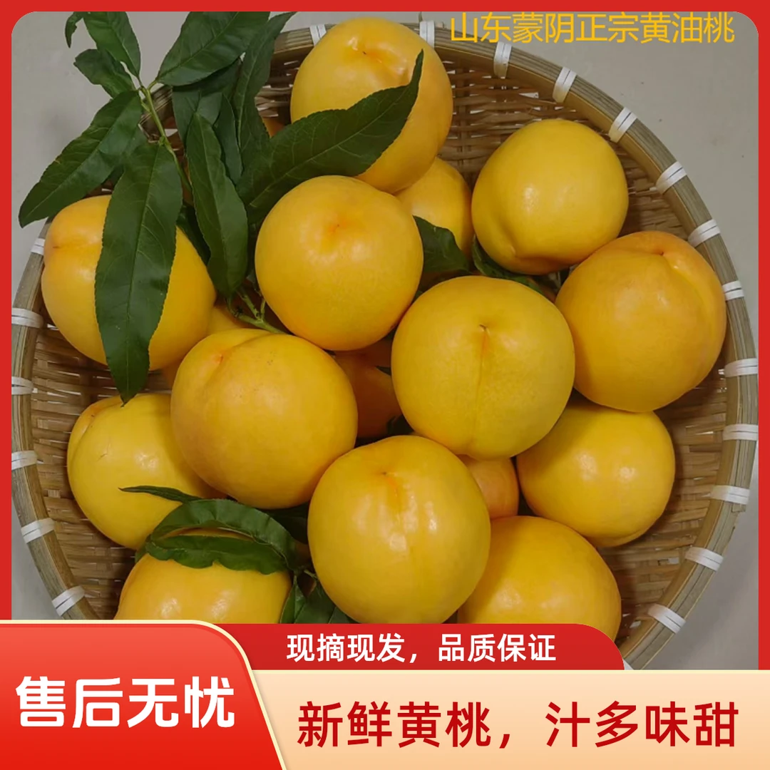 自然搭档山东蒙阴黄金油桃新鲜采摘黄肉油桃脆甜多汁应季水果蜜桃