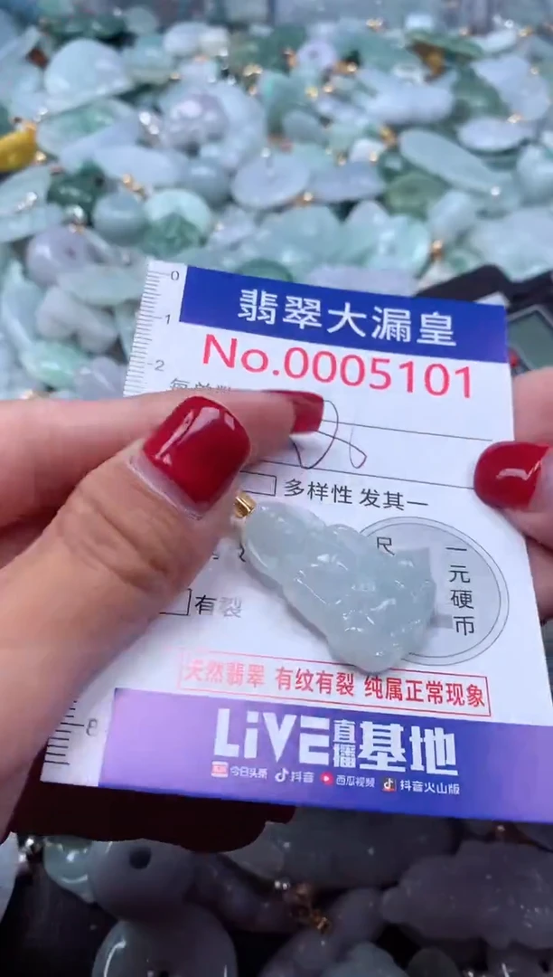 颈饰未镶嵌翡翠5101