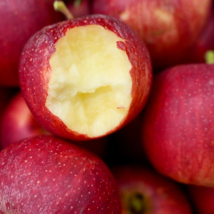 【比米农场】大凉山巴克艾苹果