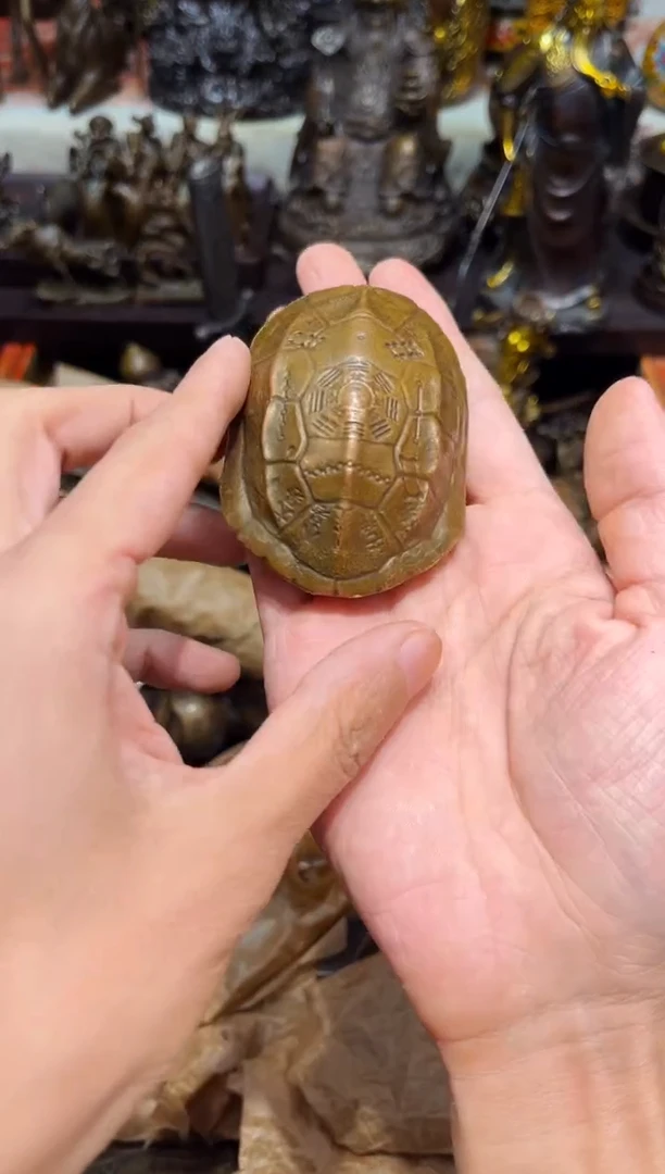 T诺诺古铜高端精品16