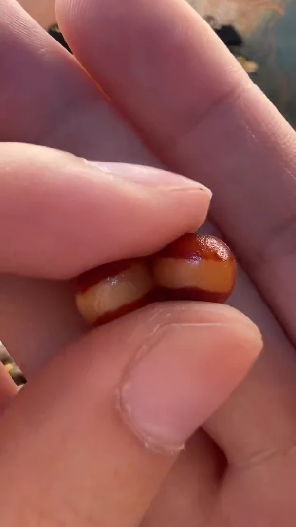 玛瑙/玉髓（覆膜）颈饰未镶嵌109（微瑕随机发货）