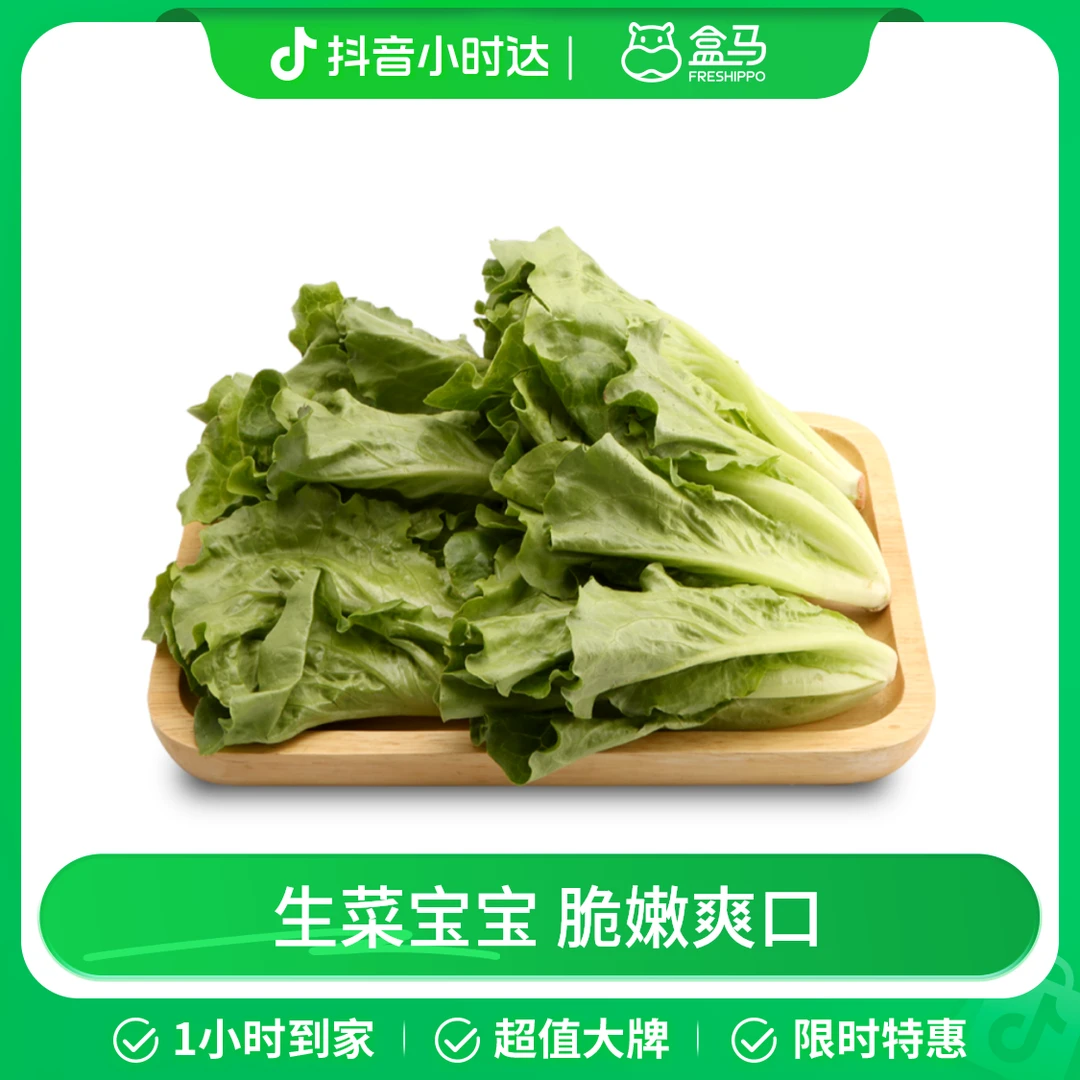 盒马苗苗菜 生菜苗(长度≤15cm)  250g