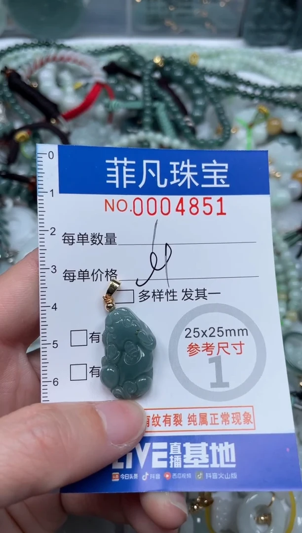 【闪购商品】翡翠颈饰未镶嵌00...4851