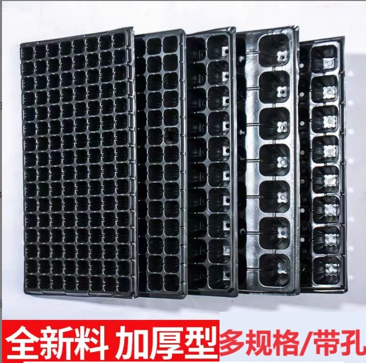 【5片装】配套多肉芽苗菜培育箱多孔穴盘平盘种植育苗盒育苗盘塑料