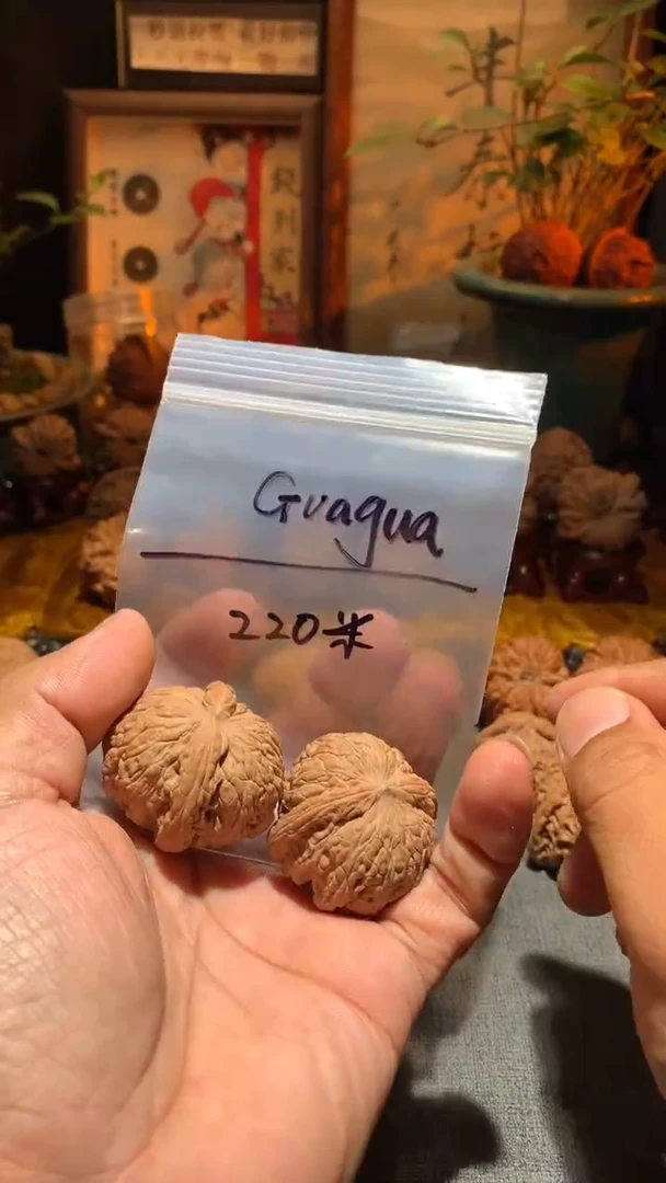 把件桃核G****a  老树密文   尺寸左右盘玩打底不支持退换