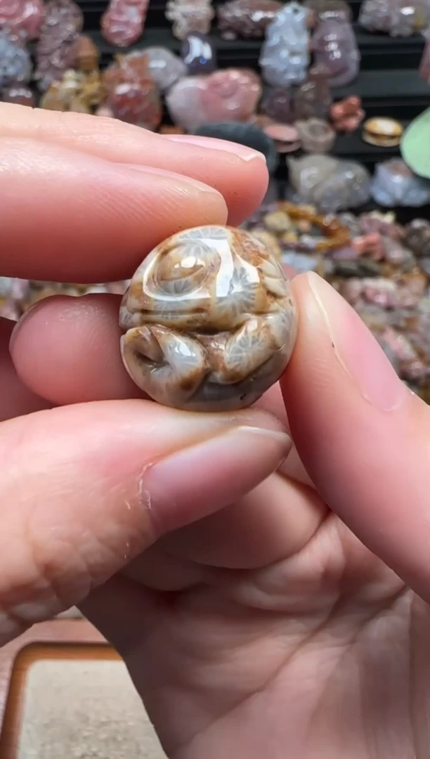 颈饰未镶嵌硅化珊瑚（珊瑚玉）777