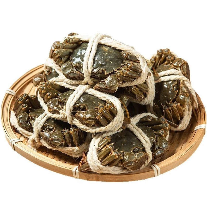 【活蟹】河蟹 规格两140-150克 8母共8只 顺丰包邮