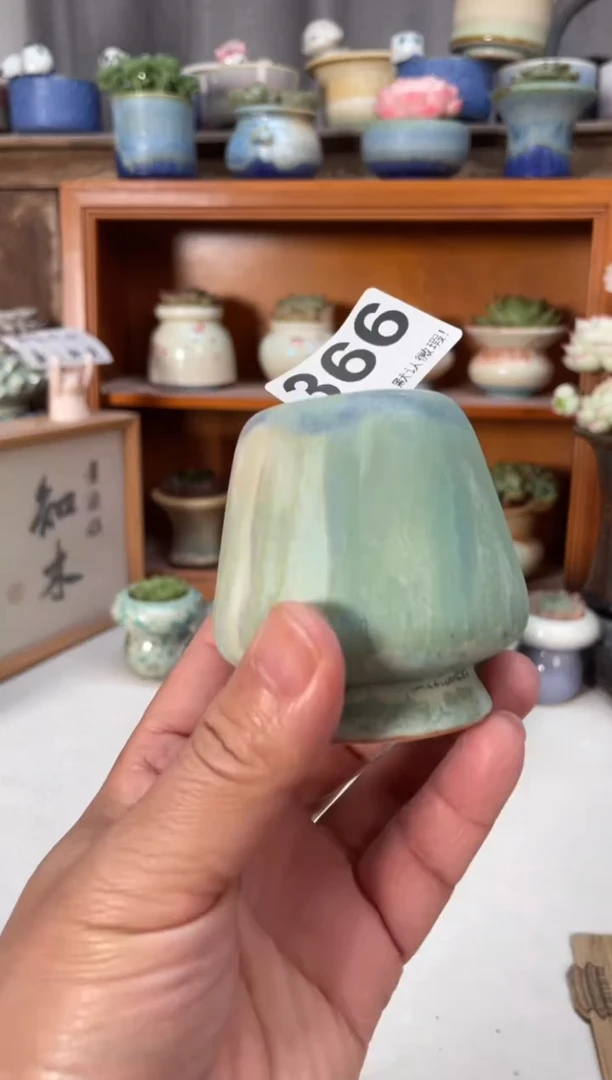 瓷片366小芳直播编号