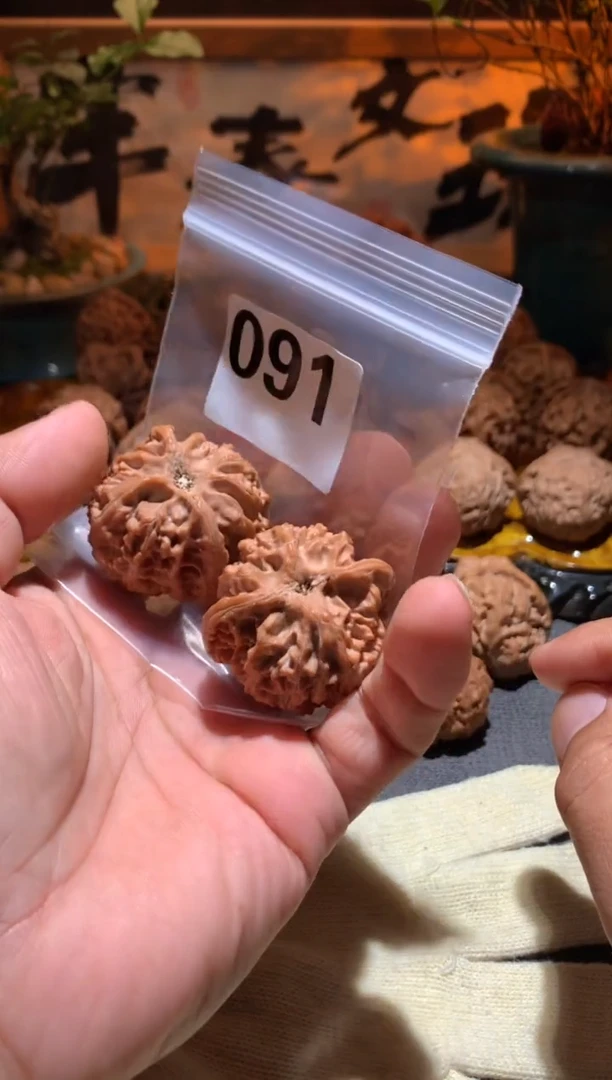 把件桃核九**九091号 苹果园    40尺寸左右盘玩打底不支持退换